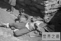 【图】哀鸿遍野是个流传下来的成语 但你知道哀鸿遍野
