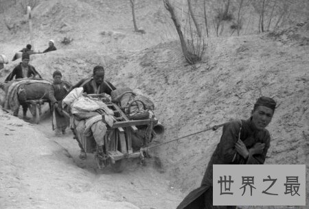 【图】哀鸿遍野是个传播上去的成语 但你知道哀鸿遍野