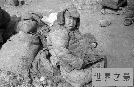 【图】哀鸿遍野是个传播上去的成语 但你知道哀鸿遍野