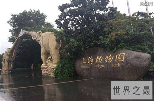 【图】上海动物园游玩攻略 上海动物园都有哪些特征
