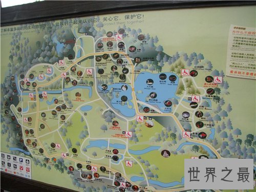 【图】上海动物园游玩攻略 上海动物园都有哪些特征