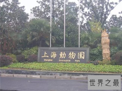 【图】上海动物园游玩攻略 上海动物园都有哪些特征