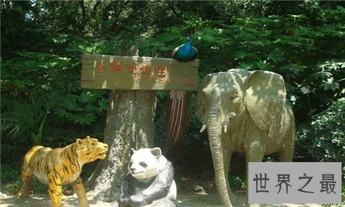 【图】上海动物园游玩攻略 上海动物园都有哪些特征