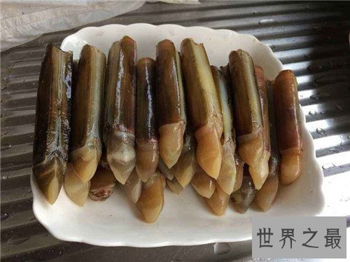 【图】竹蛏的效用与作用 竹蛏应该怎样做才好吃