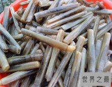 【图】竹蛏的功效与作用 竹蛏应该怎么做才好吃