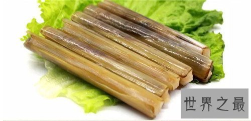【图】竹蛏的效用与作用 竹蛏应该怎样做才好吃