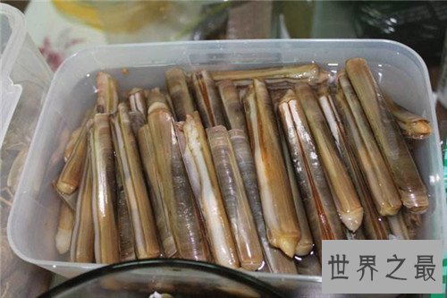 【图】竹蛏的效用与作用 竹蛏应该怎样做才好吃