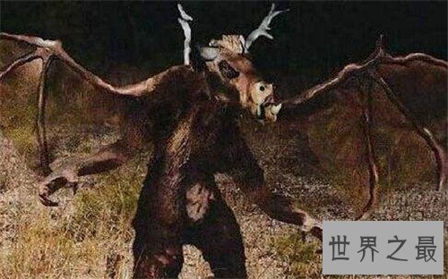 【图】泽西恶魔的长相与传说引见 目击者称之为渺小的