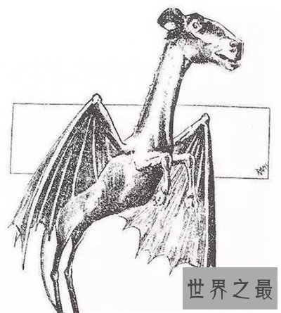 【图】泽西恶魔的长相与传说引见 目击者称之为渺小的