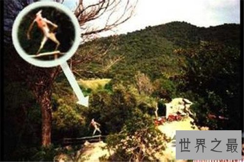 【图】泽西恶魔的长相与传说引见 目击者称之为渺小的