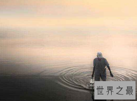 【图】风趣的网名你最想了解的各种网名大汇合