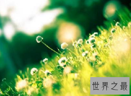 【图】风趣的网名你最想了解的各种网名大汇合