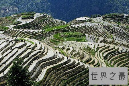 【图】梯田是一道十分亮丽的风景线 是休息人民智慧的