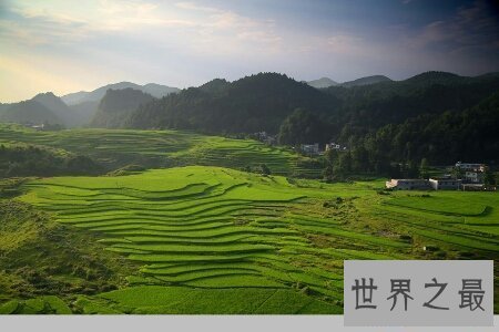 【图】梯田是一道十分亮丽的风景线 是休息人民智慧的