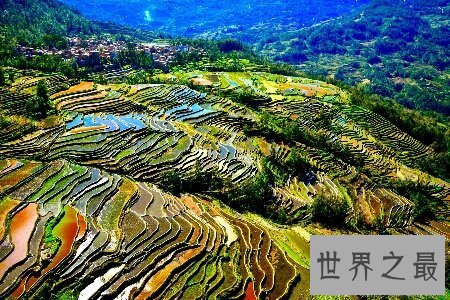 【图】梯田是一道十分亮丽的风景线 是休息人民智慧的