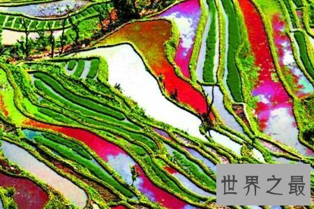 【图】梯田是一道十分亮丽的风景线 是休息人民智慧的