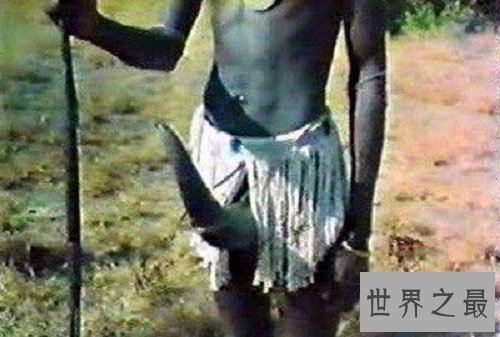 【图】世界上最大的性器官长达56厘米人类之最