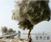【图】来一组可怕图片 据说第六张曾吓死人 胆小者勿入