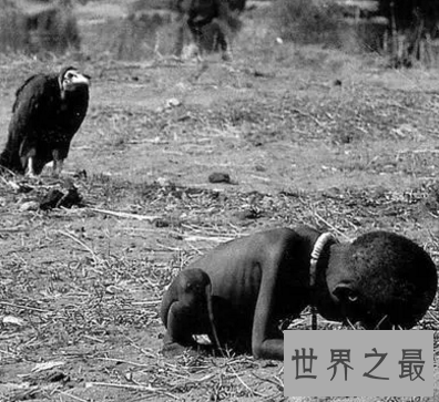 【图】来一组可怕图片 听说第六张曾吓死人 胆怯者勿入