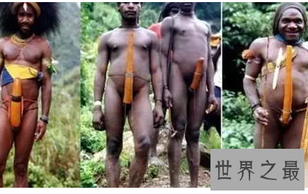 【图】所谓非洲象人族 也就是领有特大号那啥的人族