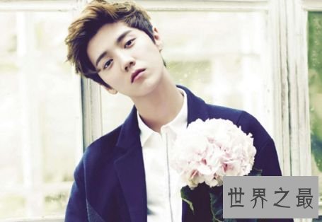 1.鹿晗 片酬4000万