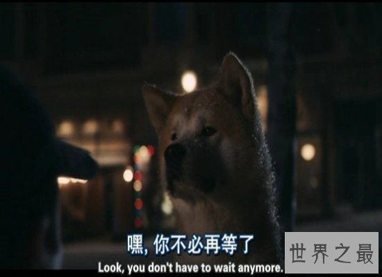 【图】清点十大最感人的电影，个个戳中你的泪点（感