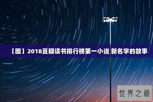 【图】2018豆瓣读书排行榜第一小说 新名字的故事