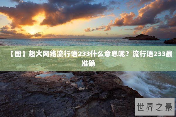 【图】超火网络流行语233什么意思呢？流行语233最准确