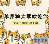 【图】看着这些单身狗图片，这明明就是自己啊说多了