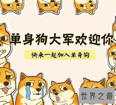 【图】看着这些单身狗图片，这明明就是本人啊说多了