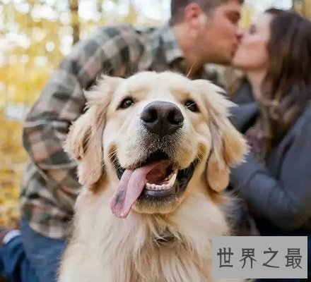 【图】看着这些单身狗图片，这明明就是本人啊说多了