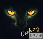 【图】飞向别人的床 连歌词都这样怪不得被列入了音乐