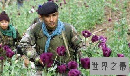 【图】那个亚洲最大的毒王和金三角毒王魏学刚怎样样