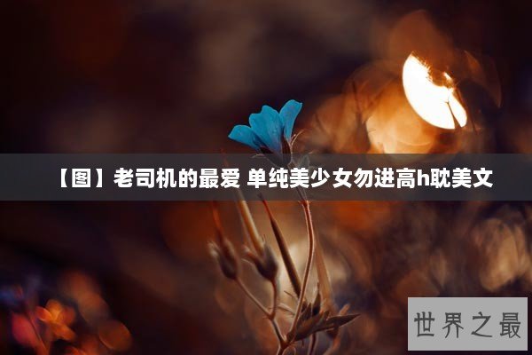 【图】老司机的最爱 单纯美少女勿进高h耽美文