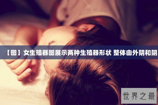 【图】女生殖器图展示两种生殖器形状 整体由外阴和阴