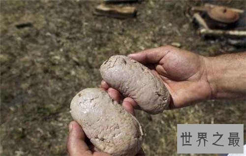 【图】睾丸节可谓美国著名节日之一 仅能成人参与深受