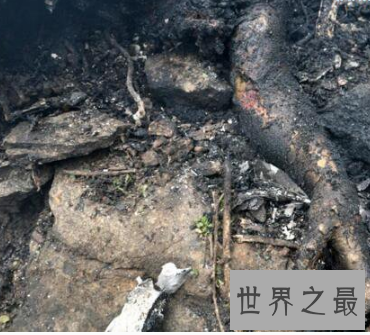 【图】97南航录音怎样回事 当年假相到底是什么