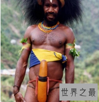 【图】非洲人的生殖器 真的有女人可以容纳的下那么大