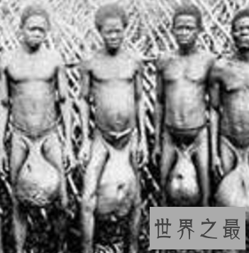 【图】非洲人的生殖器 真的有女人可以容纳的下那么大