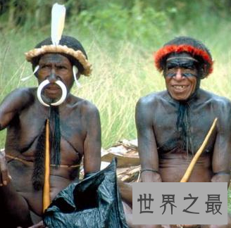 【图】非洲人的生殖器 真的有女人可以容纳的下那么大