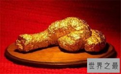 【图】吃大便系日本餐馆最新宴会 动物会吃粪的原因介