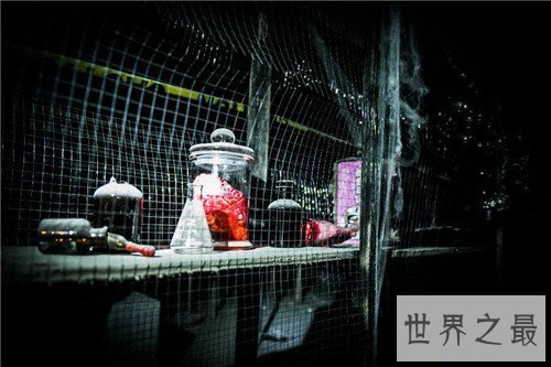 【图】慈急病院真的存在吗 世界上最恐惧的鬼屋并非浪