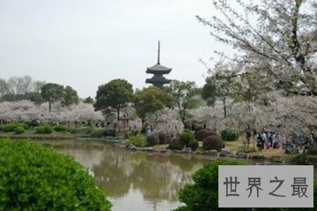 【图】中国最美的大学里的风景真实是太美了 美到令人