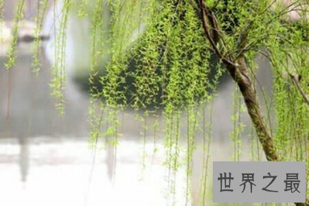 【图】中国最美的大学里的风景真实是太美了 美到令人