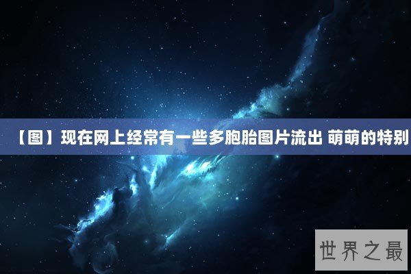 【图】现在网上经常有一些多胞胎图片流出 萌萌的特别 【图】现在网上经常有一些多胞胎图片流出 萌萌的特别