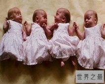 【图】现在网上经常有一些多胞胎图片流出 萌萌的特别