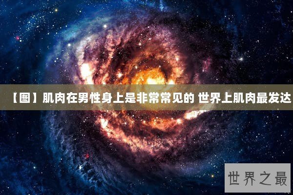 【图】肌肉在男性身上是非常常见的 世界上肌肉最发达 【图】肌肉在男性身上是非常常见的 世界上肌肉最发达