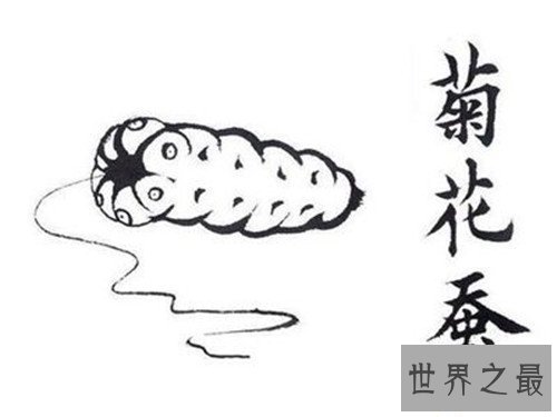 【图】网络十大神兽分别是哪些 除了草泥马竟然还有这