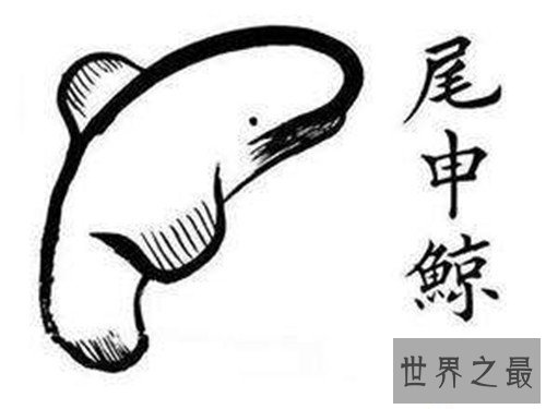 【图】网络十大神兽分别是哪些 除了草泥马竟然还有这