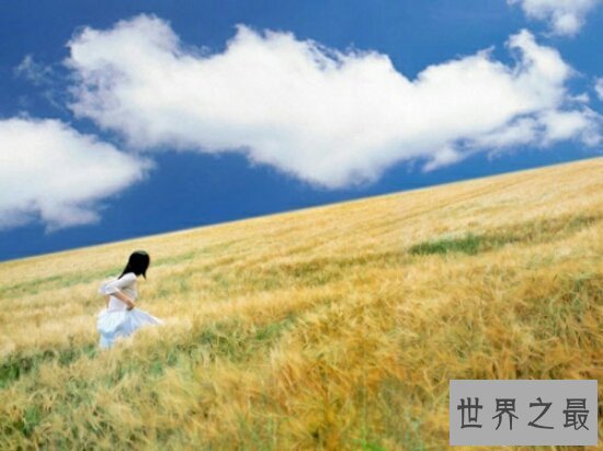 【图】一千零一页是一个高逼格的小说原创网站,每天